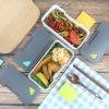 Plastic Thermal Insulation Lunchbox