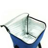 Multifunctional cooler bag