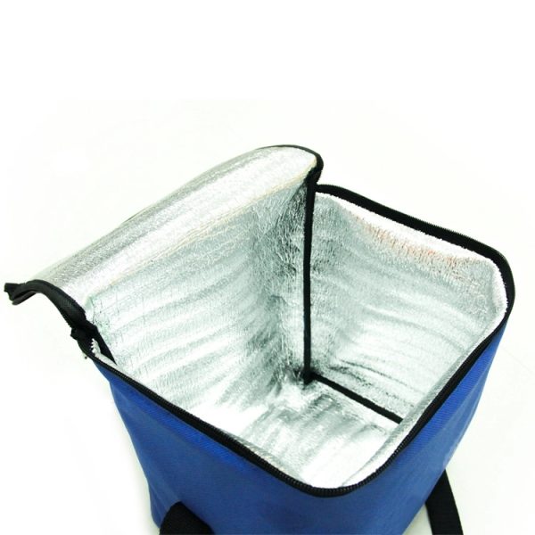 Multifunctional cooler bag