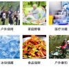 20L Car Refrigerator Incubator