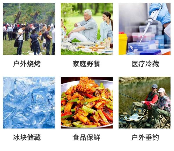 20L Car Refrigerator Incubator