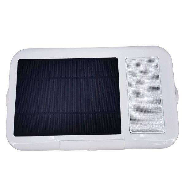 Solar And Speaker Cooler Box