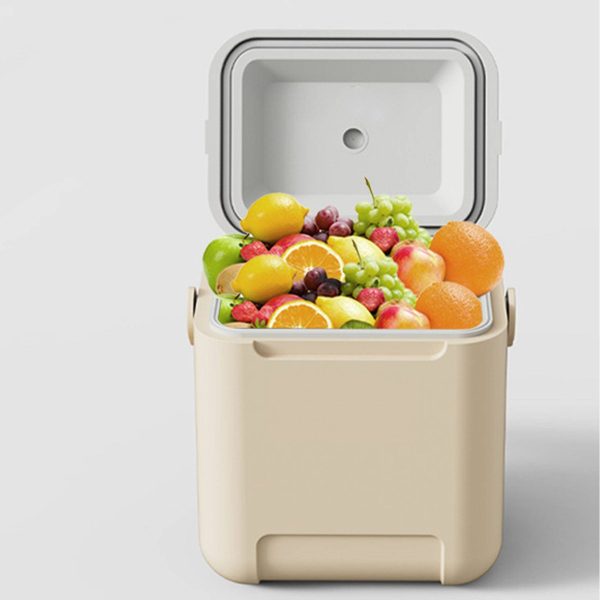 Portable 10L car mounted cooler