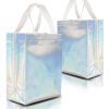 Holographic Non-Woven Laminated Gift Bag w/ Handle