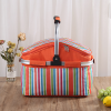 Aluminum Foil Picnic Cooler 30L Large Capacity Box
