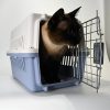 ABS Pet Travel Carrier