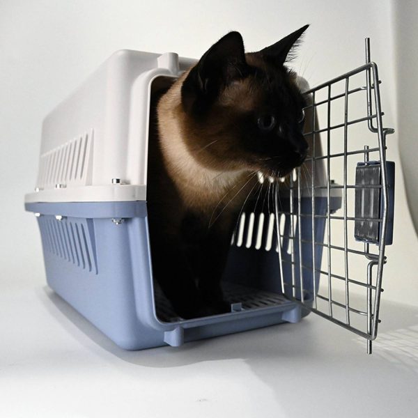 ABS Pet Travel Carrier