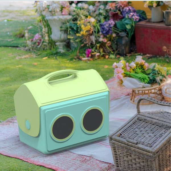 Portable wireless Bluetooth speaker cooler