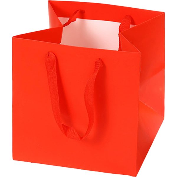 Square Gift Shopping Paper Bag w/ Handles