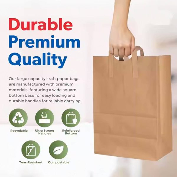 Brown Paper Shopping Bags w/Handles