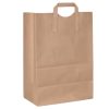 Brown Paper Shopping Bags w/Handles