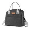 Oxford Insulated Lunch Crossbody Tote Bag