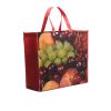 Eco Friendly Non Woven Shopping Tote Bags