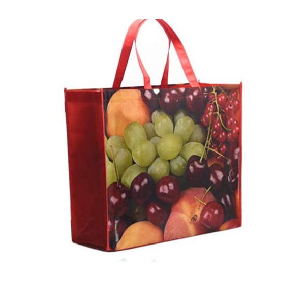 Eco Friendly Non Woven Shopping Tote Bags