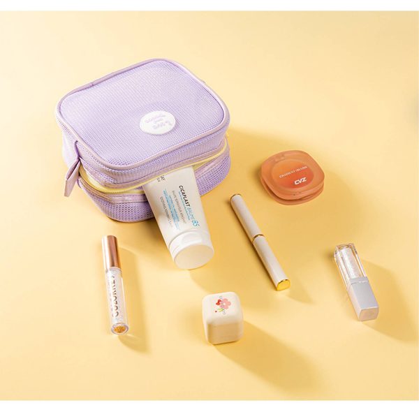 Mini Mesh Clear Zippered Toiletry Bag