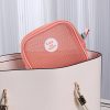 Mini Mesh Clear Zippered Toiletry Bag