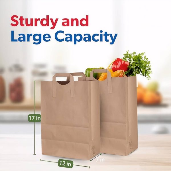 Brown Paper Shopping Bags w/Handles