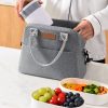 Oxford Insulated Lunch Crossbody Tote Bag