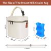 15L Oxford Insulated Breastmilk Cooler Bag