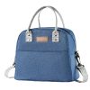 Oxford Insulated Lunch Crossbody Tote Bag