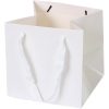 Square Gift Shopping Paper Bag w/ Handles