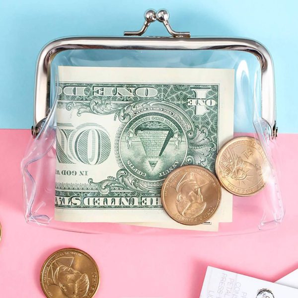 Waterproof Clear PVC Coin Purse w/ Lock Design