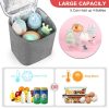 5L Oxford Breastmilk Insulated Bottle Bag w/Handle