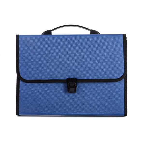 4e1524a3-2b04-4b91-9027-ba2fac713791_107.jpg Portable 13 Pocket Expanding Accordion File Folder