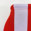 Women Polyester Cloud Striped Print Clutch Purse