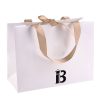 Gift Paper Shopping Bag W/ Bow Ribbon