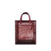 Transparent Mesh Student Tote Bag