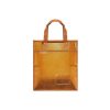 Transparent Mesh Student Tote Bag
