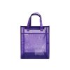 Transparent Mesh Student Tote Bag