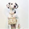 Portable Dog Treat Pouch Pet Cotton Training Bag w/Carabiner