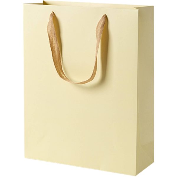 Paper Gift Tote Bag