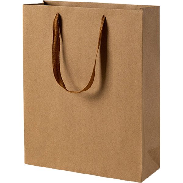 Paper Gift Tote Bag