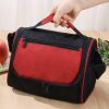 Insulated Lunch Bag w/Handle