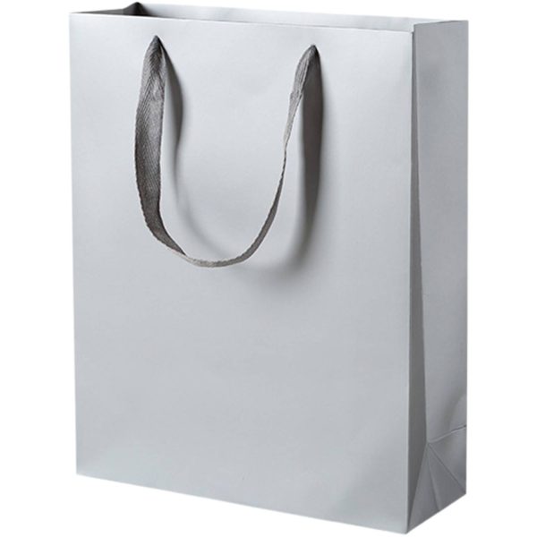 Paper Gift Tote Bag