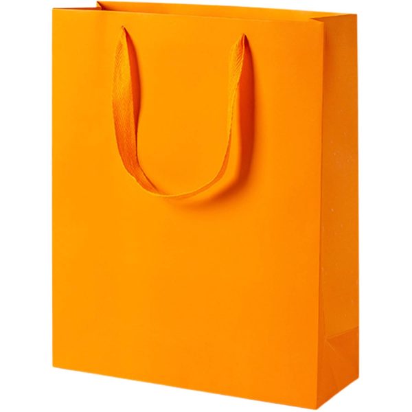 Paper Gift Tote Bag