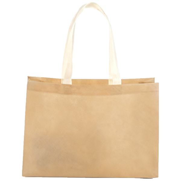 Eco Friendly Non Woven Gift Bag