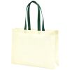 Eco Friendly Non Woven Gift Bag