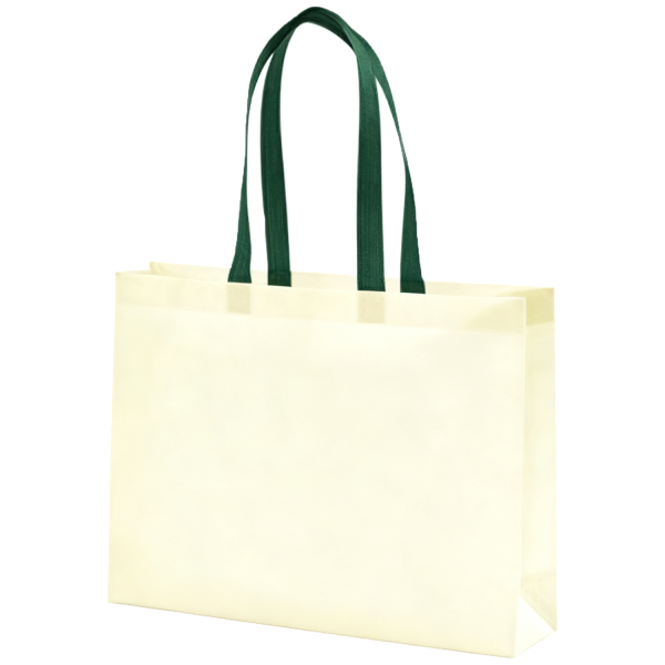 Eco Friendly Non Woven Gift Bag