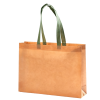 Eco Friendly Non Woven Gift Bag