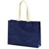 Eco Friendly Non Woven Gift Bag