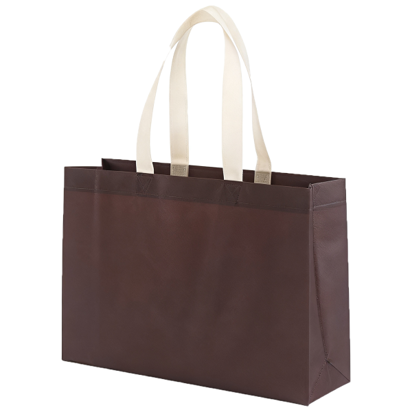 Eco Friendly Non Woven Gift Bag