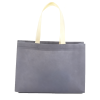 Eco Friendly Non Woven Gift Bag