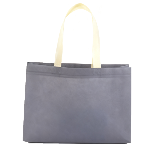 Eco Friendly Non Woven Gift Bag
