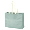 Eco Friendly Non Woven Gift Bag