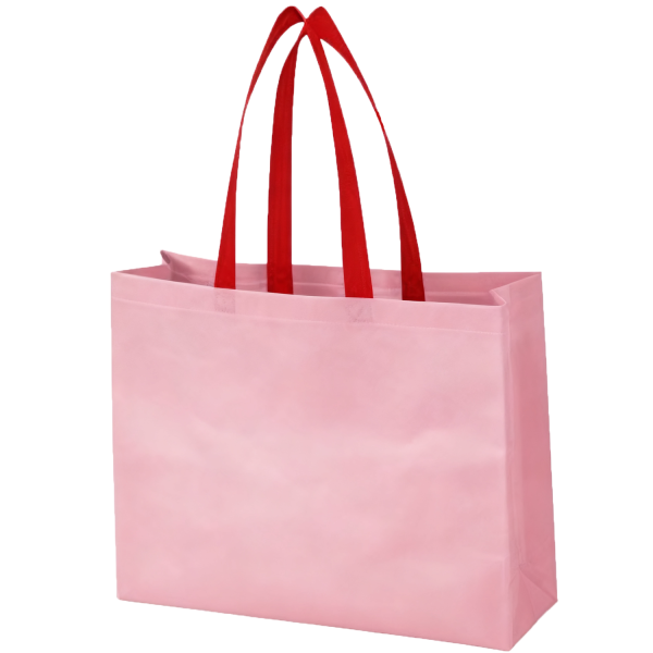Eco Friendly Non Woven Gift Bag