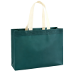 Eco Friendly Non Woven Gift Bag